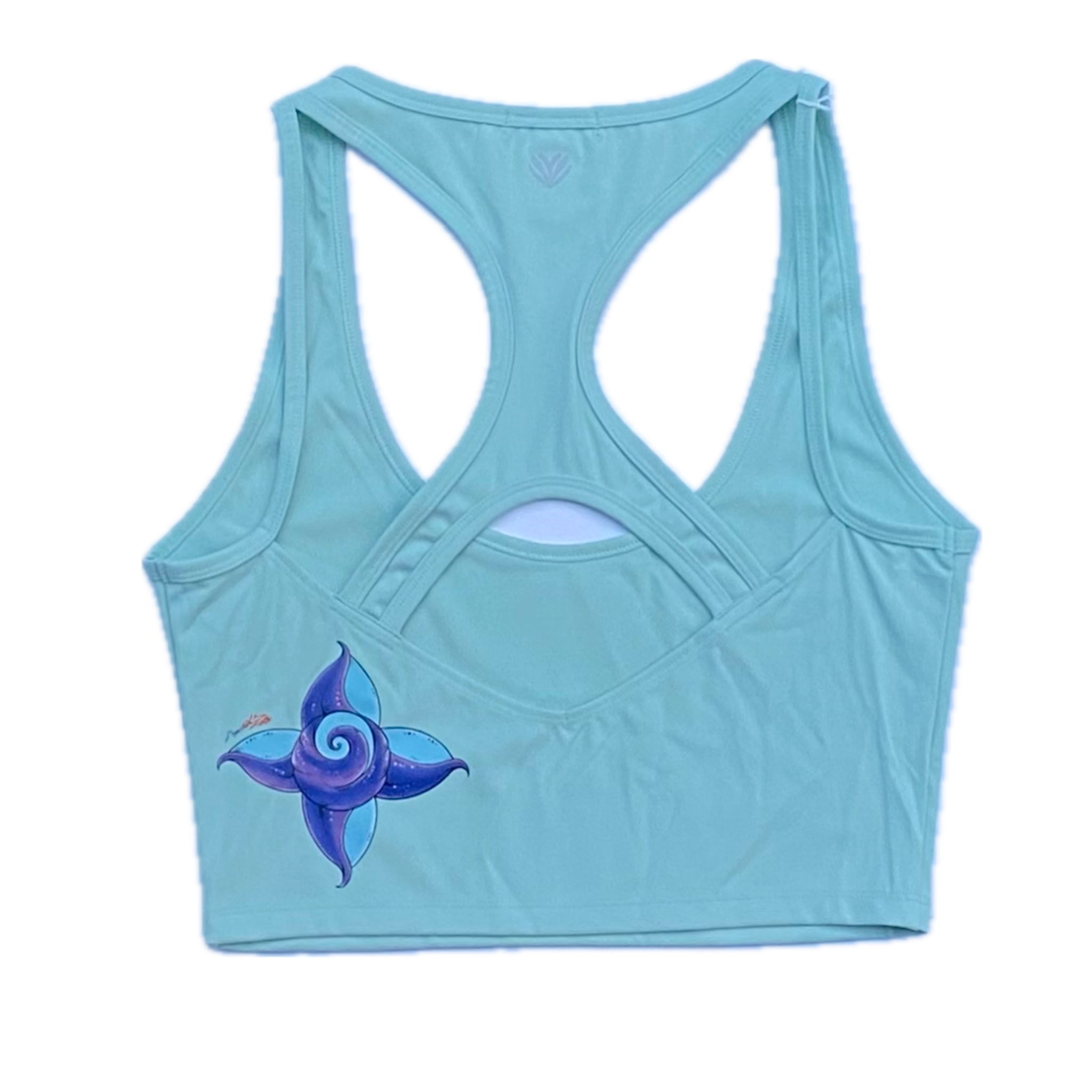 Soul Seer Sports Crop Top Mint